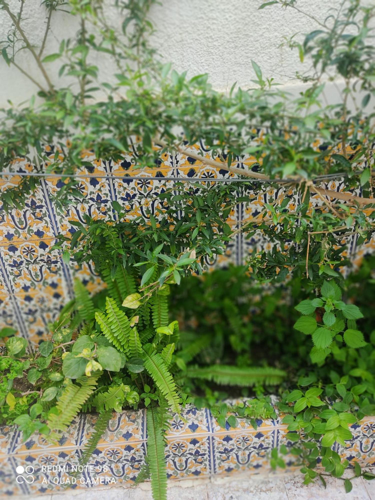 Etage De Villa Avec Jardin, Pres De L'Aireport Et Parking Prive Arjana Zewnętrze zdjęcie